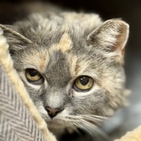 Grace - Photo 4