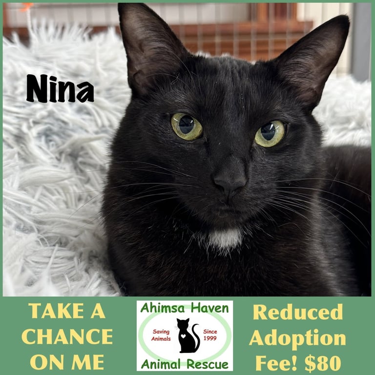 Nina Image