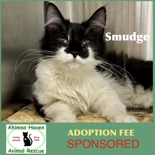 SMUDGE