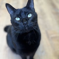 Biggie - Photo 1