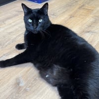 Biggie - Photo 3