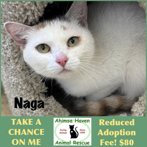 NAGA