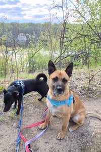 Maxx / Trig (fka Tig) - Photo 2