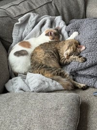 Ethel - Pending / Beverly - Pending - Photo 2