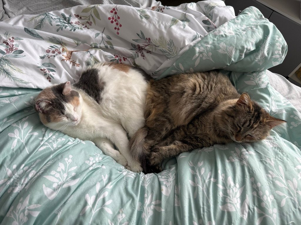 Ethel - Pending / Beverly - Pending Image