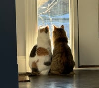 Ethel - Pending / Beverly - Pending - Photo 4