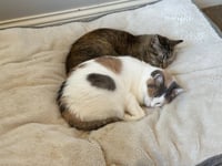 Ethel - Pending / Beverly - Pending - Photo 3