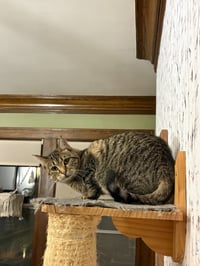 Storm - Photo 3