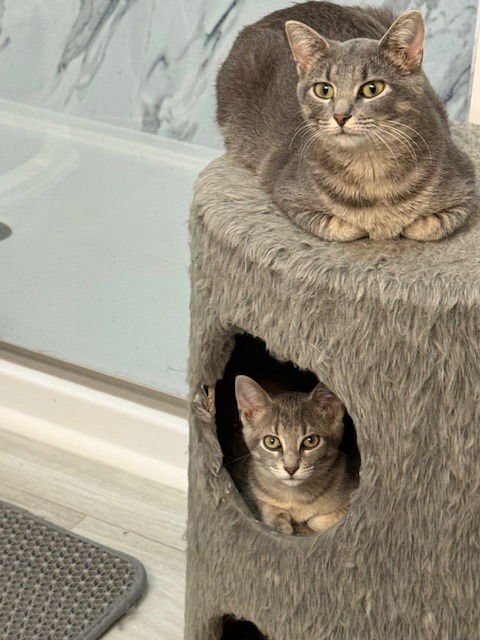 Johnny- No longer accepting apps - Photo 4