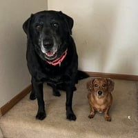 Chase / Maci - Photo 4