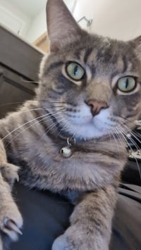 Clyde - No longer accepting apps - Photo 3