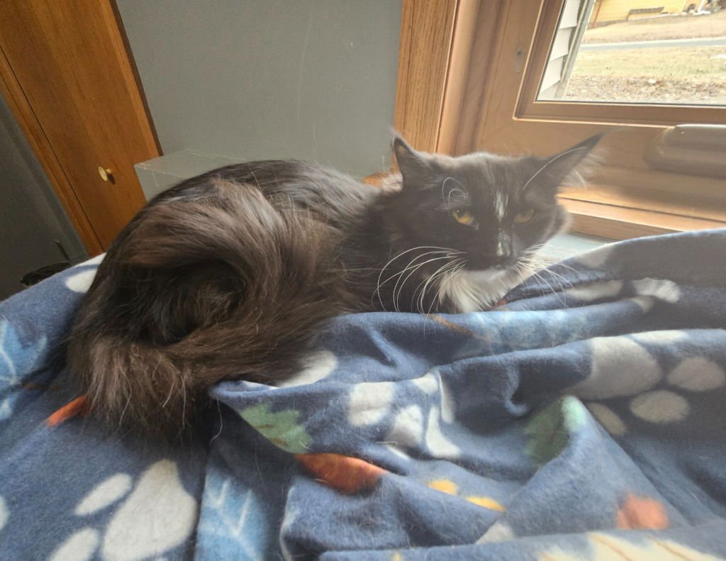 Jane / Ophelia - Photo 3