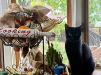 Penelope - No Longer Accepting Apps - Photo 1
