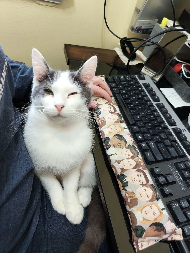 Mouse FIV+ - Photo 4