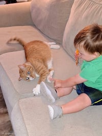 Gus - Photo 3