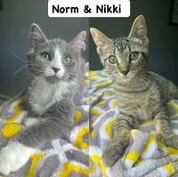 Norm / Nikki - Photo 1