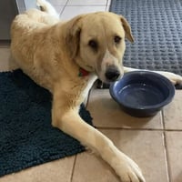 Winnie - Photo 3