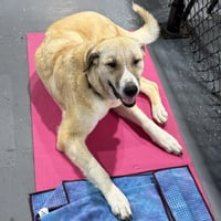 Winnie - Photo 4