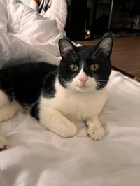 Stanley - No Longer Accepting Applications - Photo 1