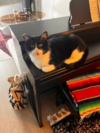 Stanley - No Longer Accepting Applications - Photo 2