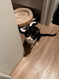 Stanley - No Longer Accepting Applications - Photo 3