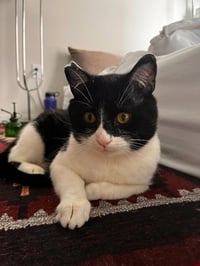 Stanley - No Longer Accepting Applications - Photo 4
