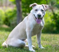 Elsie - Photo 3