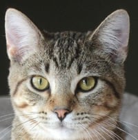Roald - Photo 1