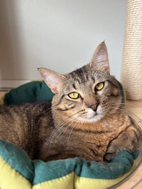 Maisey - Pending / Marcus - Pending - Photo 3
