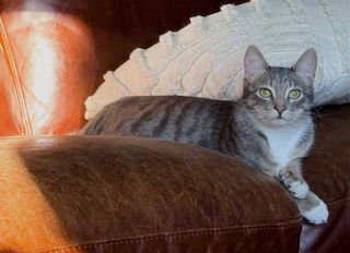 LUNA- NO LONGER ACCEPTING APPS