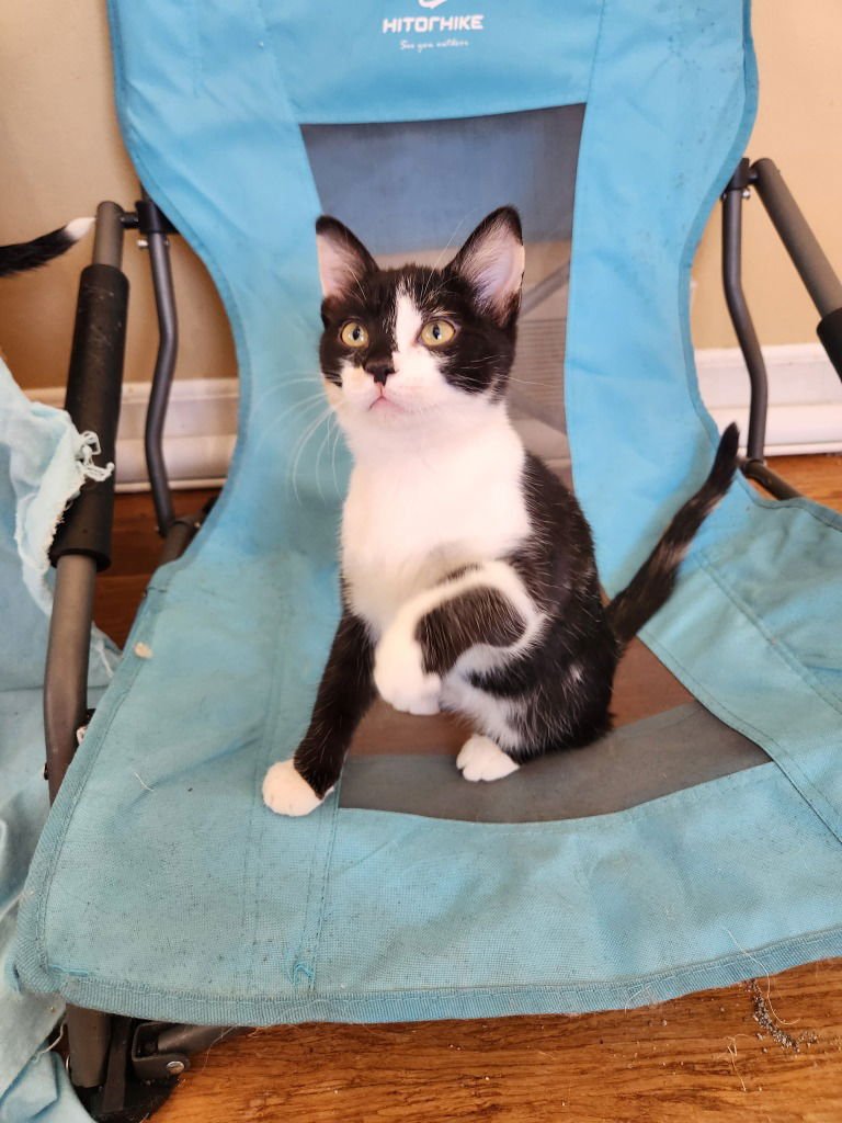 Tinkerbell - Photo 3