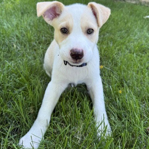 WINNIE - NO LONGER ACCEPTING APPLICATIONS