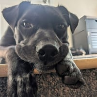 Artie aka Artist - Photo 3