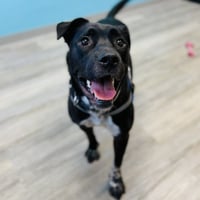 Artie aka Artist - Photo 1