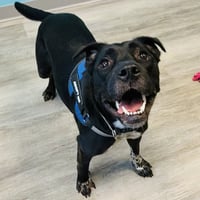 Artie aka Artist - Photo 2