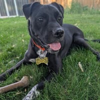 Artie aka Artist - Photo 4