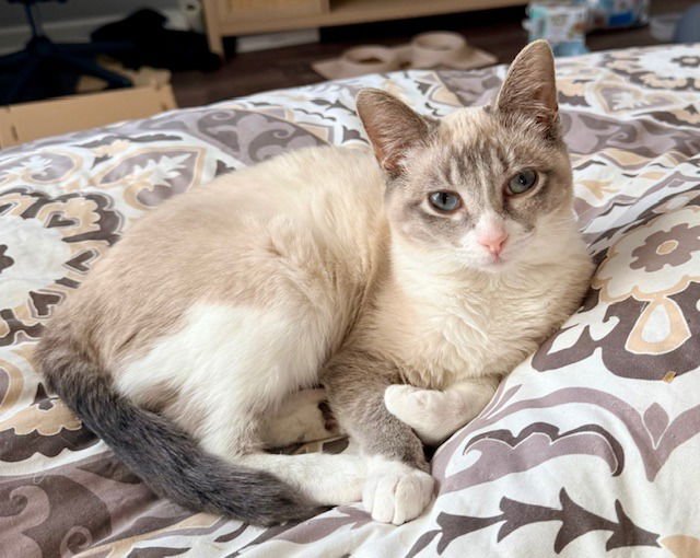 JOCELYN-NO LONGER ACCEPTING APPS