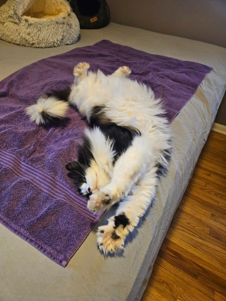 Emmet-No longer accepting apps - Photo 3