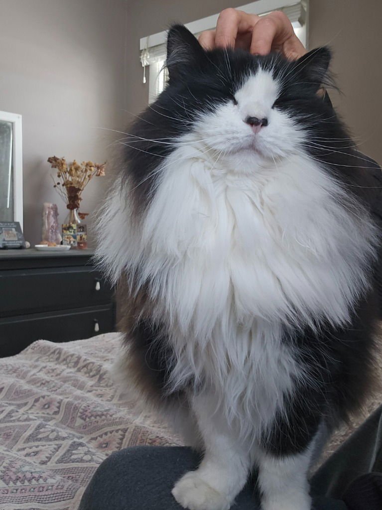 Emmet-No longer accepting apps - Photo 4