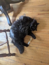 Sam - No Longer Accepting Applications - Photo 3