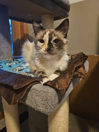 Stormy - Photo 2