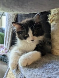 Zig - No Longer Accepting Applications - Photo 2