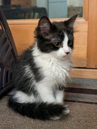 Zig - No Longer Accepting Applications - Photo 3