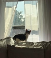 Maxie / Mila - Photo 3