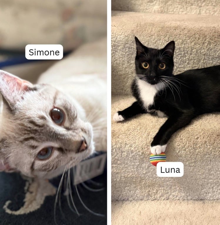 Simone / Luna Image