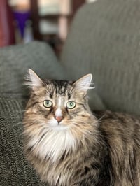 Eleanor - Photo 1