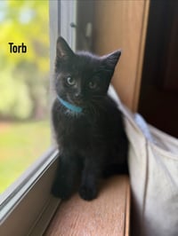 Solensia / Torb - Photo 4