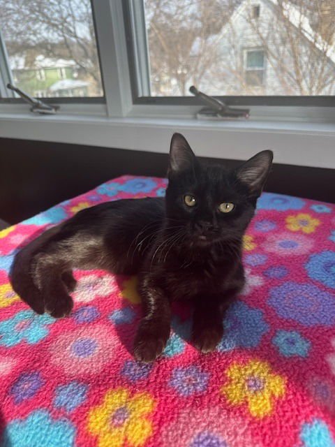 Billy / Zoey - Photo 3