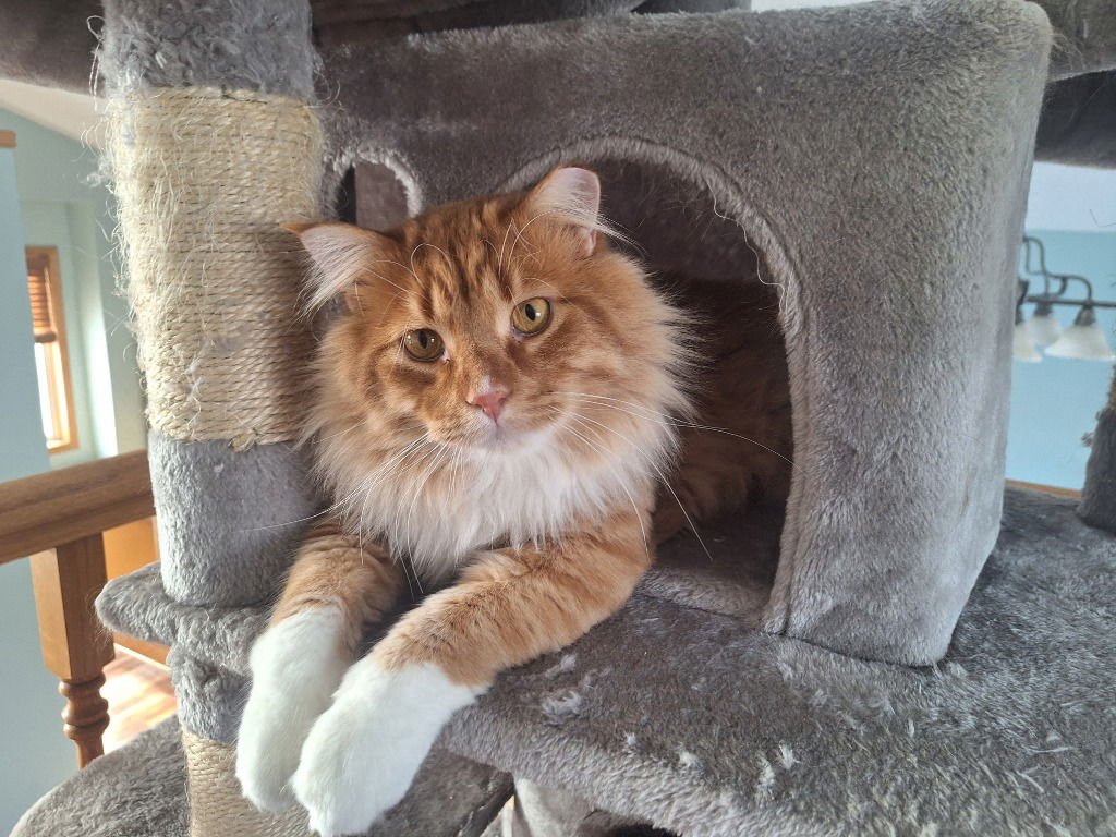 ERIK THE RED - NO LONGER ACCEPTING APPS