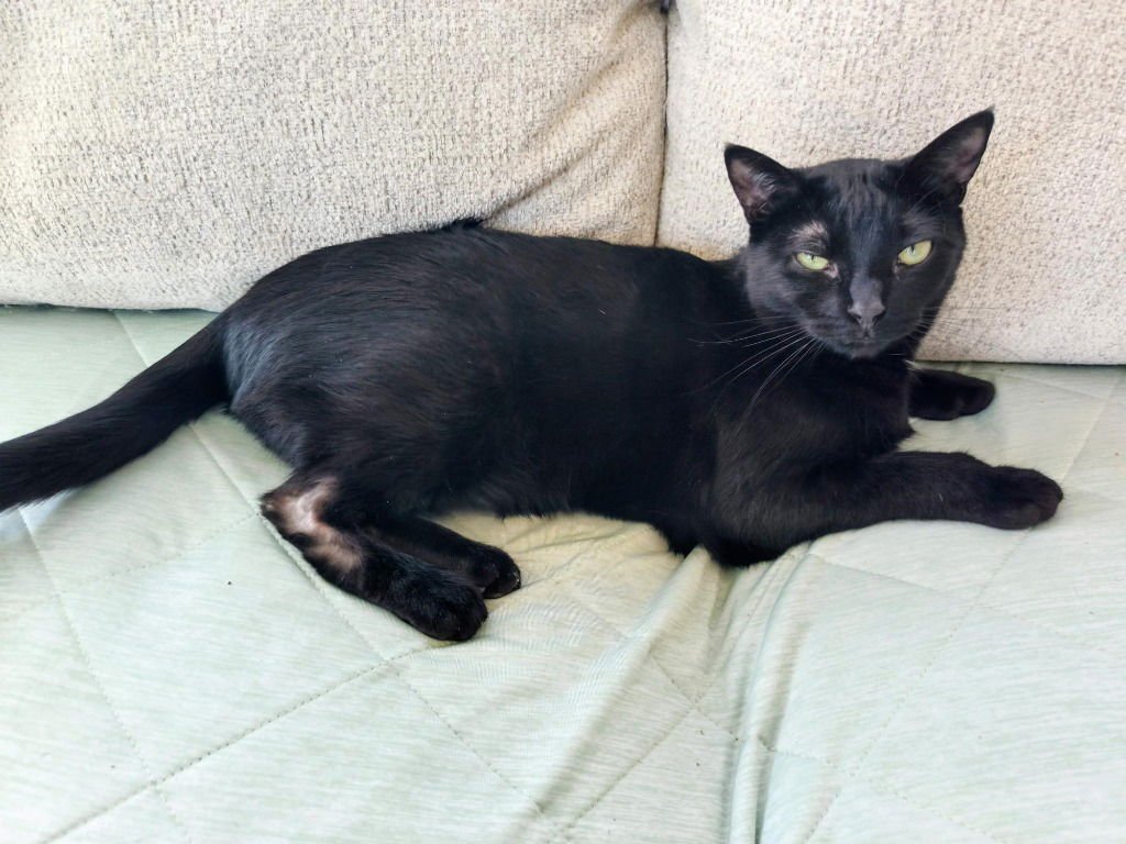 Firefly-No longer accepting apps - Photo 3